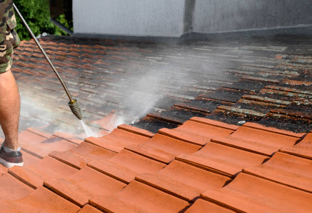 Best Local Pressure Washing Services  in Cullman, AL