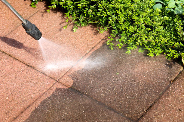 Best Exterior Home Cleaning  in Cullman, AL